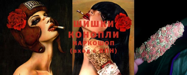 спайс Кодинск