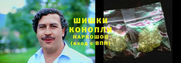 прущие грибы Козельск