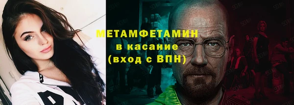 прущие грибы Козельск