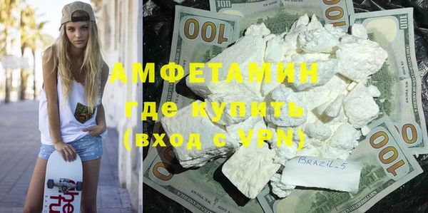 прущие грибы Козельск