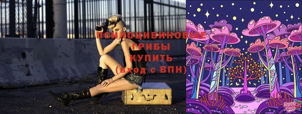 не бодяженный Козловка