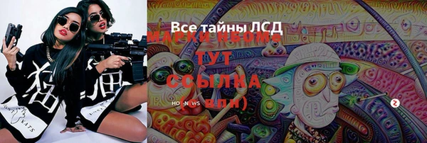 прущие грибы Козельск