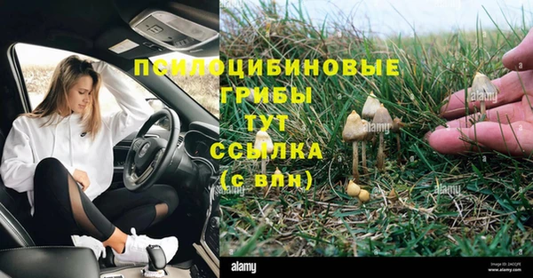 не бодяженный Козловка
