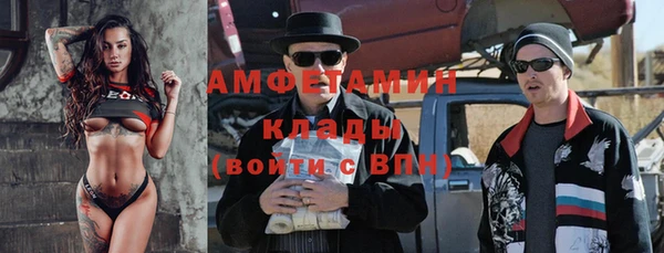 прущие грибы Козельск
